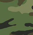 Camo_swatch_img_shk