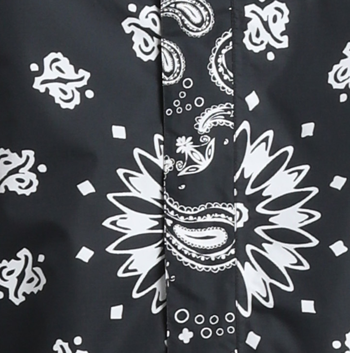Paisley_swatch_img_shk