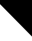 Black and White_swatch_img_shk